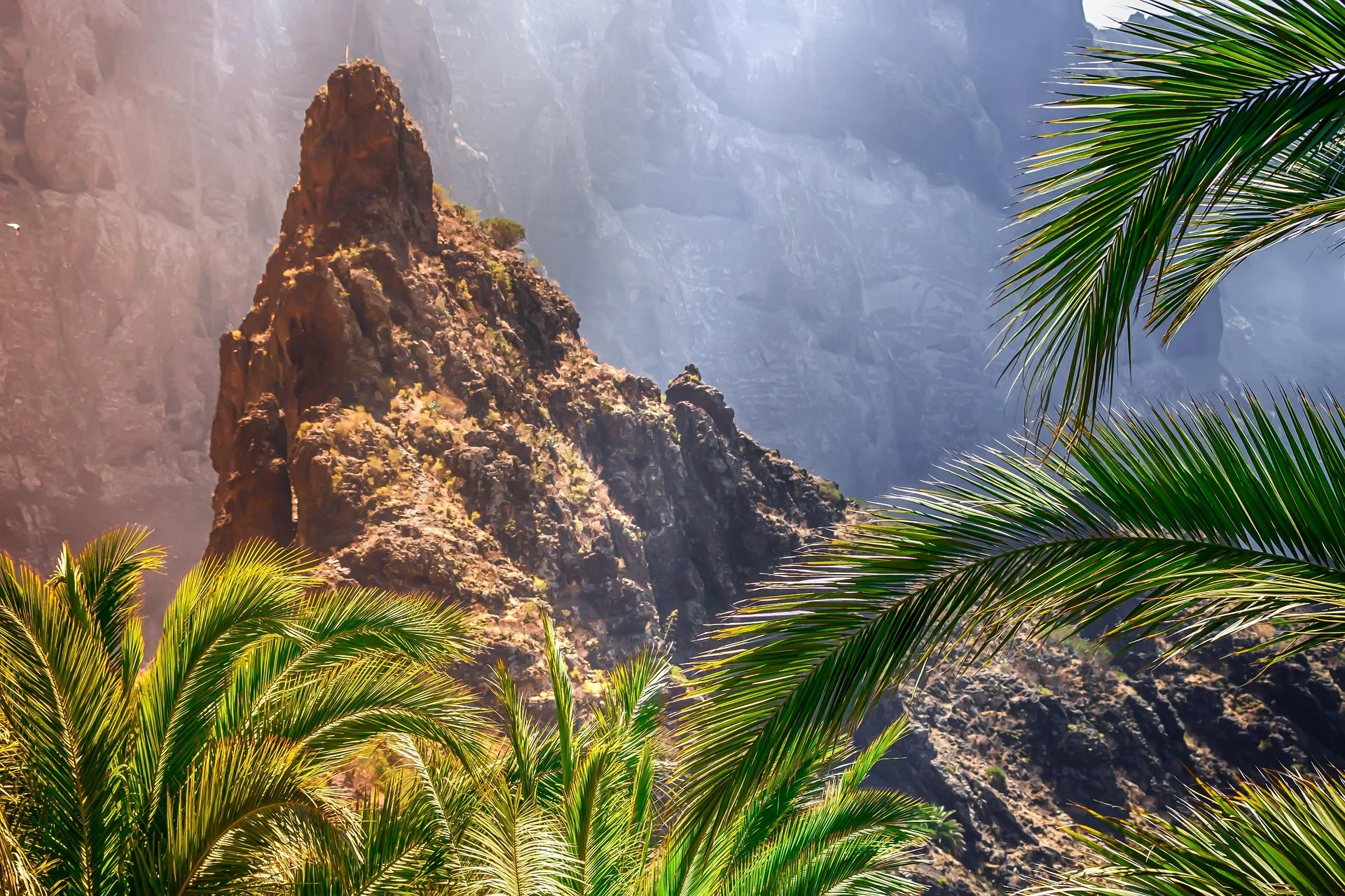 alquiler vacacional canarias